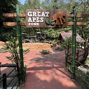Great Apes Zone - 3 species