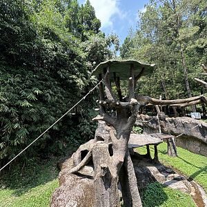 Sumatran Orangutan Exhibit