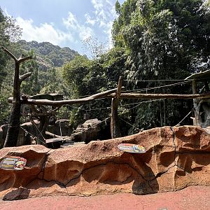 Sumatran Orangutan Exhibit