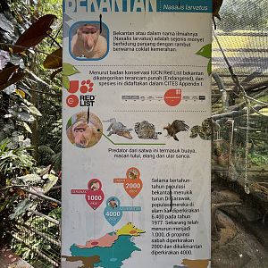 Proboscis Monkey Exhibit Sign