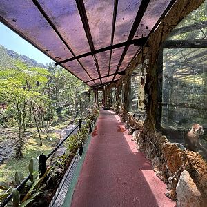 Assorted Primate Exhibits