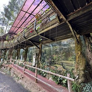 Assorted Primate Exhibits