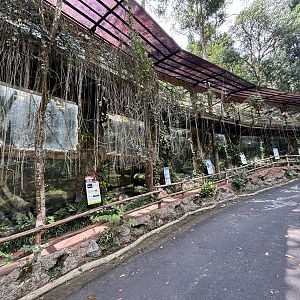 Assorted Primate Exhibits