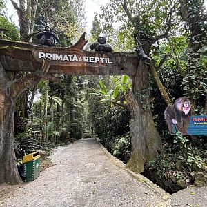 Primate Zone