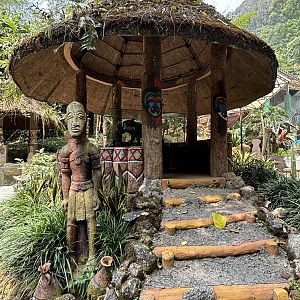 African Hut + Taxidermy Warthog