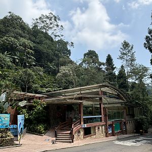 Dolphin Stadium in a jungle!