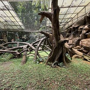 Proboscis Monkey Exhibit