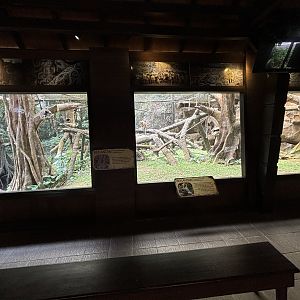 Proboscis Monkey Exhibit