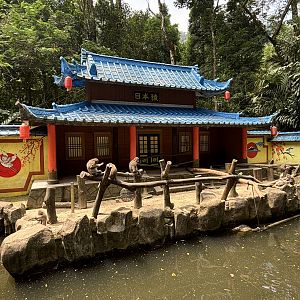 Japanese Macaque Exhibit