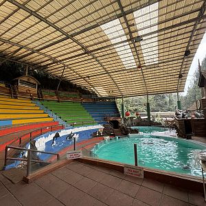 Indo-Pacific Bottlenose Dolphin Stadium