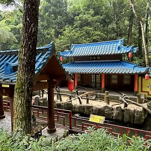 Japanese Macaque Exhibit