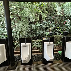Zoo Toilets - open to the jungle!