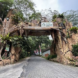 Stunning Waterfall Road Entrance