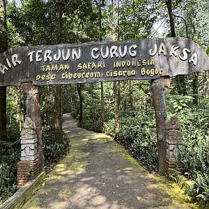 Waterfall Jungle Trail Entrance