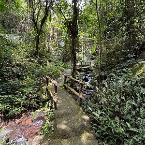 Waterfall Jungle Trail