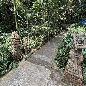 Jungle Trail - to waterfall