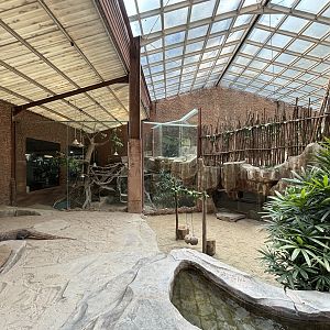 Komodo Dragon Exhibit