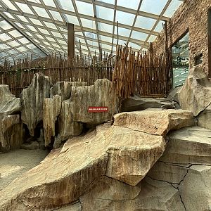 Komodo Dragon Exhibit - one of many