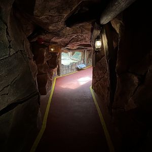 Komodo Dragon Exhibit Tunnel