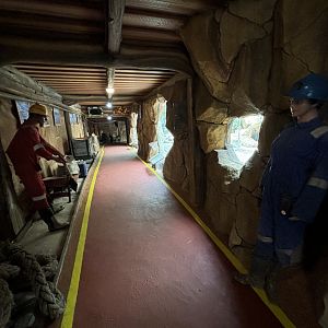 Komodo Dragon Exhibit Tunnel