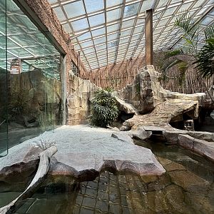 Komodo Dragon Exhibit