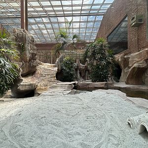 Komodo Dragon Exhibit - one of many