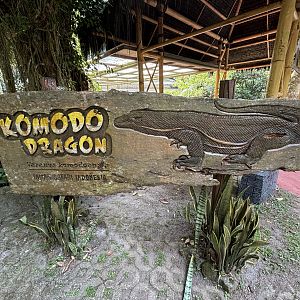 Komodo Dragon Exhibit Sign