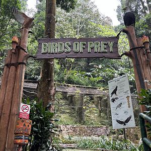 Birds of Prey Entrance
