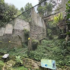 Birds of Prey Aviaries