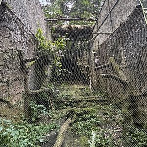 Changeable Hawk Eagle Aviary #1