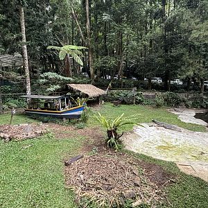 Saltwater Crocodile Exhibit