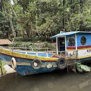 Saltwater Crocodile Exhibit