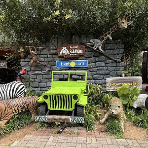 Assorted Animal Statues