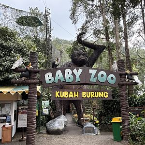 Baby Zoo Entrance