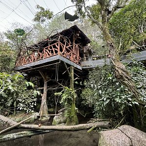 Walk-through Aviary