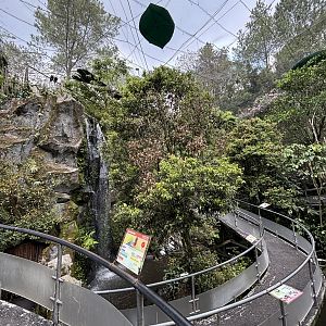Walk-through Aviary