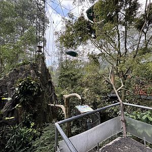 Walk-through Aviary