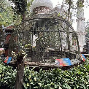 Bali Myna + Large Flying Fox Aviary
