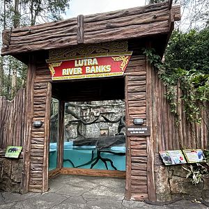 Smooth-coated Otter + Binturong Exhibit