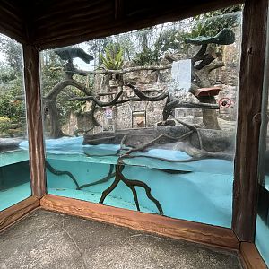 Smooth-coated Otter + Binturong Exhibit