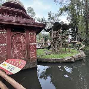 Sumatran Orangutan Exhibit