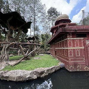 Sumatran Orangutan Exhibit