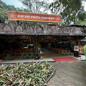 Not KFC…it’s SFC!