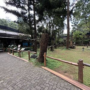 Lemur Walk-through Exhibit