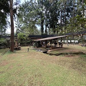 Lemur Walk-through Exhibit
