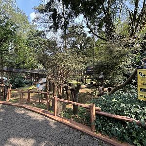 Walk-through Lemur Exhibit