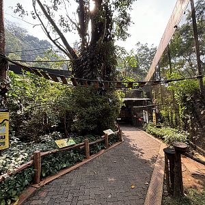 Walk-through Lemur Exhibit