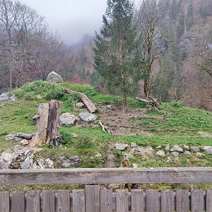 Wolf/Brown bear enclosure 1 - Wildpark Grünau/Cumberland