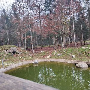 Wolf/Brown bear enclosure 3 - Wildpark Grünau/Cumberland
