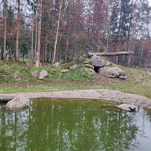 Wolf/Brown bear enclosure 3 - Wildpark Grünau/Cumberland